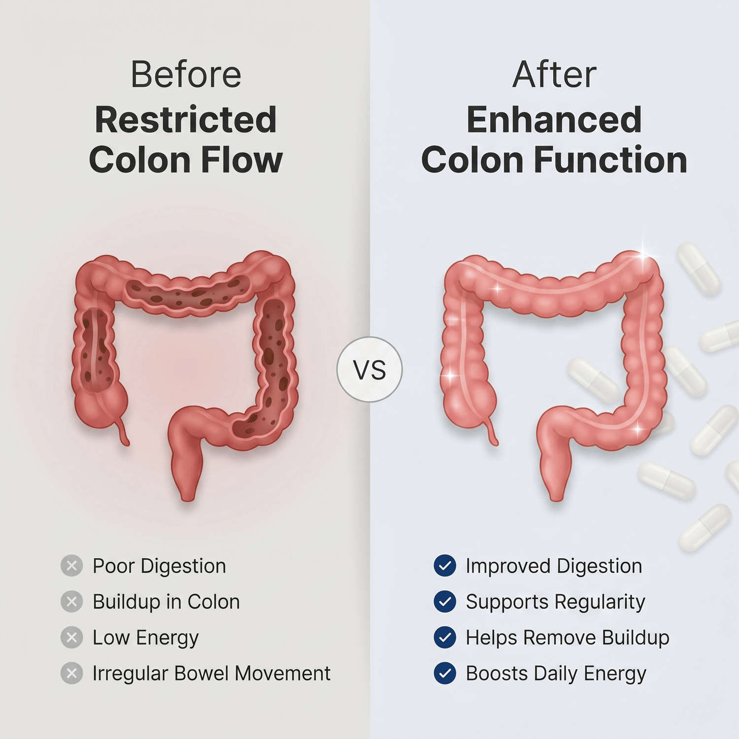Colon 14 Day Cleanse – Digestive Control System - Lemeli